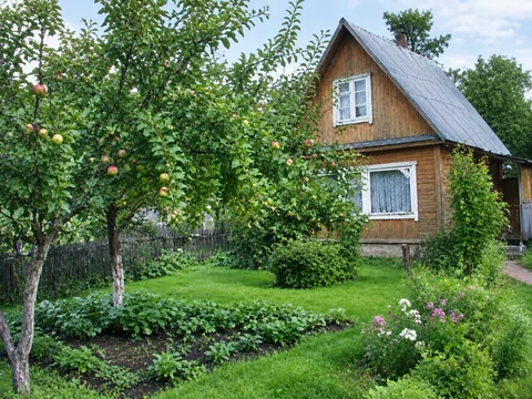 Результат: чёткий дачный дом, листва и доски в деталях